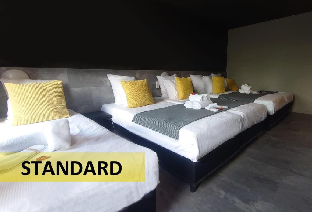 Standard 5-Person Room